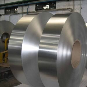 Stainless Steel Strip